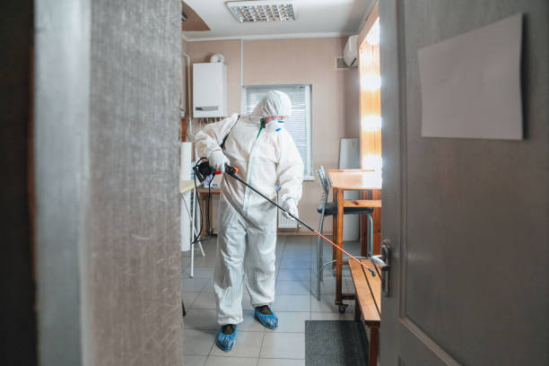 Professional Mold Removal in Jesup, GA