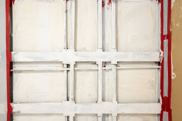 Best Airborne Mold Testing  in Jesup, GA