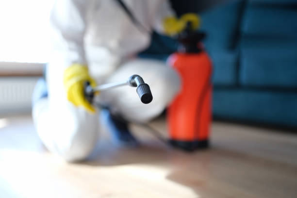Best Post-Remediation Verification Testing  in Jesup, GA