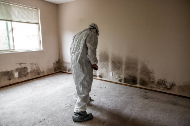 Best Mold Remediation for Healthcare Facilities  in Jesup, GA