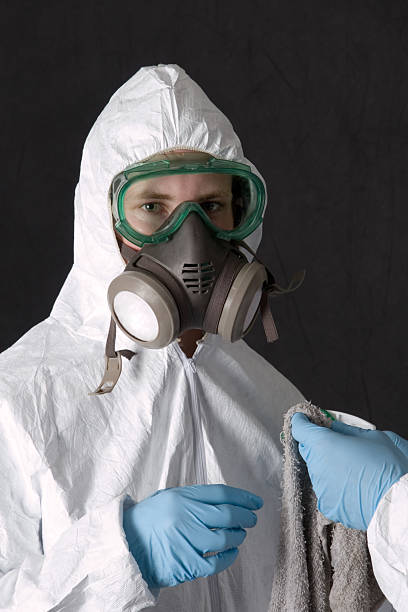 Best Water Damage & Mold Remediation  in Jesup, GA